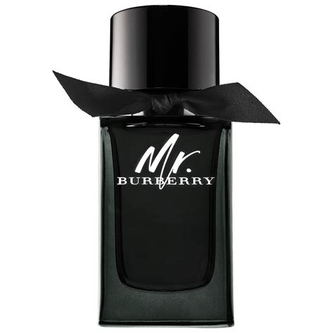 my burberry black price in nigeria|Burberry Mr Burberry Edp 150ml .